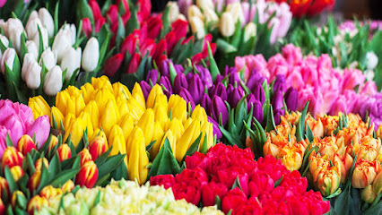 rosemary flower shop