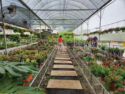 Palace Rose Garden Centre (Ara Damansara)